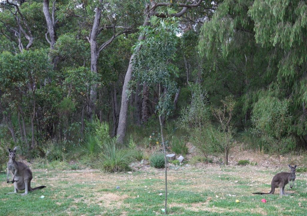 Margaret River Bed & Breakfast Eksteriør bilde